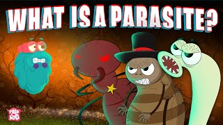 PARASITE  What Is A PARASITE  Biology For Kids  The Dr Binocs Show  Peekaboo Kidz [upl. by Neeloc]