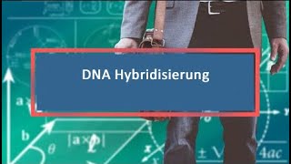 DNA Hybridisierung [upl. by Llenra920]