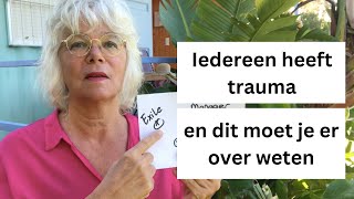 Dit moet je weten over trauma een uitleg van de IFS [upl. by Vivienne13]