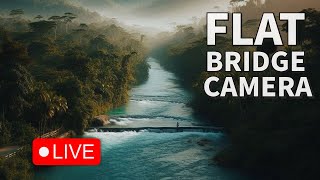 🟢 Flat Bridge Live Camera 247  Jamaica LIVE [upl. by Silbahc]