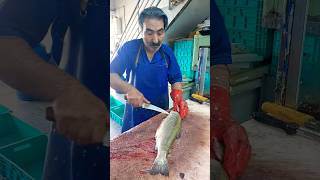 How to fillet a trout for frying fishcutting [upl. by Nnybor]