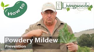 Stop Powdery Mildew Comprehensive Tips for Powdery Mildew Management and Prevention [upl. by Funda]