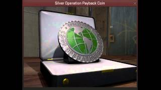 Operation Payback Silver Coin CSGO [upl. by Andriette]