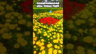 New Digha Park in Chandannagar shorts newdighapark chandannagar amusementpark [upl. by Ashlie]