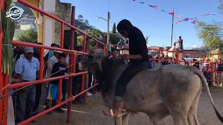 JARIPEO RANCHERO SAN CRISTOBAL LACHIRIOAG 2018 [upl. by Collins]