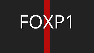 FOXP1 [upl. by Ayad142]