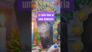 🦁Leão Vem aí uma Calmaria tarothoje horoscopo elevaimeprocurartarot [upl. by Herriott522]