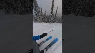 Whistler Blackcomb Skiing January 2024 [upl. by Ysnap110]