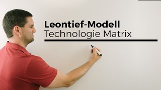 LeontiefModell Technologie Matrix Bedeutung Koeffizienten plus Tabelle Mathe by Daniel Jung [upl. by Ycak236]