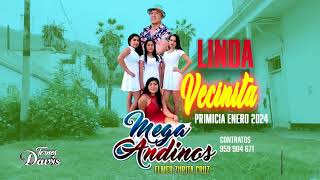 LINDA VECINITA  MEGA ANDINOS  PRIMICIA ENERO 2024 ᴹᴾ [upl. by Norraa]