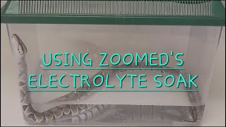 Using ZooMeds REPTILE electrolyte soak [upl. by Anama85]