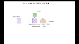 Anticoagulant Drugs Part 2 Low Molecular Weight Heparin [upl. by Korfonta]