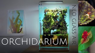 Building an Orchidarium for miniature orchids  DOOA Neo Glass Air TerrariumPaludarium [upl. by Krein]