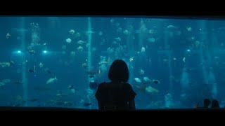 SEA Aquarium Singapore 1242023  Cinematic Vlog  Sony A6400 [upl. by Rissa254]