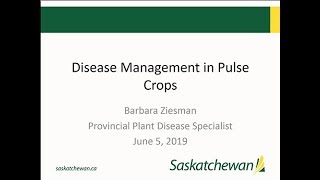 Pulse Agronomy Webinar Integrated Pest Management for Disease in Pulses [upl. by Alletnahs422]