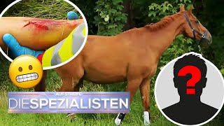 Ausritt ins Unglück 🐎​ Offener Bruch und verschwundener Ehemann 😬​  Die Spezialisten  SAT1 [upl. by Jehanna]