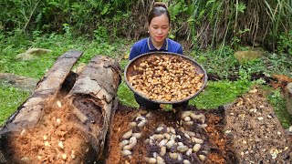 Harvest Coconut Weevils Goes To Market Sell  Daily Work Of Pregnant Women  Lý Thị Ca [upl. by Clements]