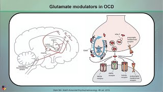 Glutamatergic Interventions in OCD [upl. by Dannon374]