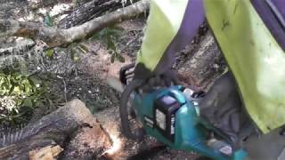 Makita 36v Chainsaw Brushless Battery Chainsaw Real World Test [upl. by Aerdnak]