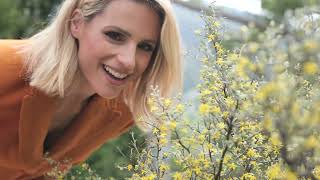 Viaggio in Ticino con Michelle Hunziker [upl. by Anuaf]