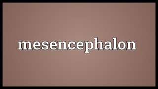 Mesencephalon Meaning [upl. by Cliffes]