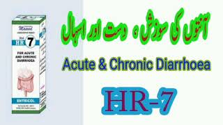 HR 7 Masood Homeopathic Medicine  For Acute and Chronic Diarrhoea Treatment [upl. by Ellehsal]