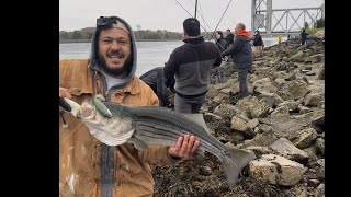 Cape cod canal fishing 2024 [upl. by Giles]