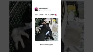 Vídeo de ALERTA para você profissional RESPEITAR o limite do cachorro Fique atento pets cachorro [upl. by Edyaj]