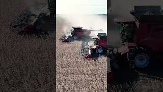 Get a sneak peek of the NEW Case IH AF10 combine w 50’ header in Central Illinois [upl. by Loraine17]