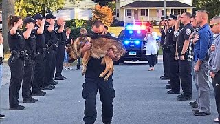 K9 Police Dogs Funeral Processions Thank You for Your Service [upl. by Monahan]