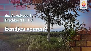 Eendjes voeren  Kerkdienst zondag 15 september avond [upl. by Heathcote]