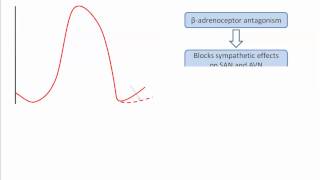 Class II antiarrhythmics [upl. by Wylie]