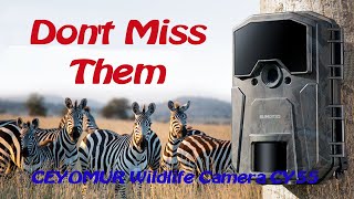 CEYOMUR CY55 Wildlife Camera ‎ [upl. by Letisha]