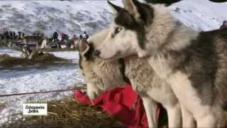 La vallée de la Maurienne  Echappées belles [upl. by Jimmie]