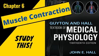 Guyton and Hall Medical Physiology Chapter 6 REVIEW Muscle Contraction  Study This [upl. by Enak]