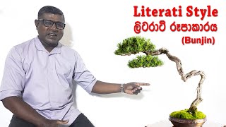 Literati bonsai style  ලිටරාටි රූපාකාරය [upl. by Nivart868]