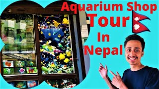 Aquarium Shop In Nepal  Fish Shop in Nepal  Aquarium Fish Shop Tour  Aquarium Fish Price In Nepal [upl. by Siulesoj]