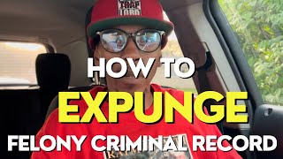 📝HOW TO EXPUNGE FELONY CRIMINAL RECORD  5 Steps [upl. by Esila]