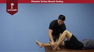 Fibularis Tertius Muscle Test Palp Dr Vizniak Muscle Manual [upl. by Landers771]