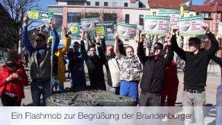 Eröffnung hagebaumarkt Mölders Brandenburg [upl. by Ilram645]