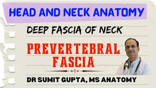 DEEP CERVICAL FASCIA  PREVERTEBRAL FASCIA [upl. by Yenterb]