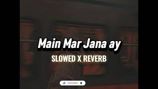 Main Mar Jana Ay Kuch kar jana ay  Vicky Tarori SLOWED X REVERB  Punjabi Song [upl. by Viviana]