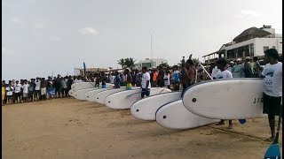 Surfing festival  at Chennai Kovalam Beach [upl. by Etteuqaj]