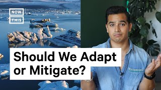 Adaptation vs Mitigation Climate Change Solutions [upl. by Iahs]