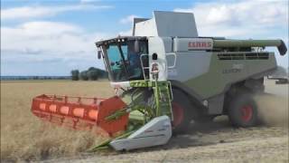 Erbsen dreschen 2018 2x Claas Lexion 740 John Deere Deutz Conow [upl. by Ait]