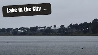 Beautiful Lake Merced  San Francisco Walk [upl. by Saduj]