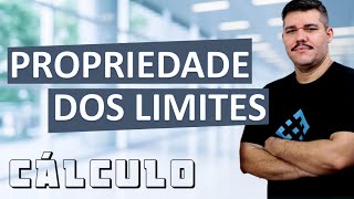 📚 Propriedade dos Limites  Cálculo 1 4 [upl. by Pearse518]