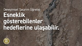 Deneyimsel Tasarım Öğretisi  Hedefe nasıl ulaşılır [upl. by Aerona739]