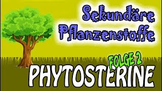 Der Fleischkiller Teil 2 der Animationsfilmreihe Sekundäre Pflanzenstoffe Die Phytosterine [upl. by Issy345]