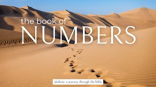 EP 158 NUMBERS 24  ALETHEIA Unveiling Truth  Journey through the Bible [upl. by Stanfill]